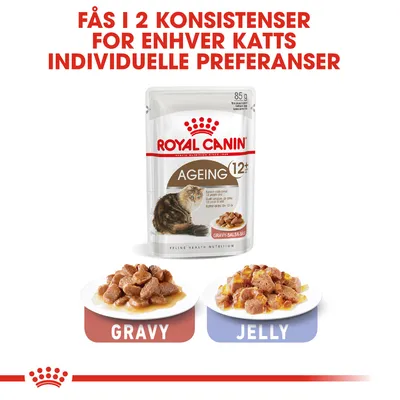 Royal Canin Ageing 12+ i saus