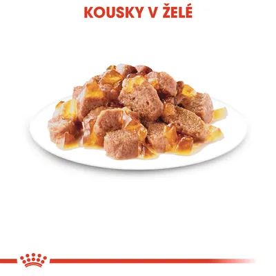 Kousky v želé na bílém talíři, nad nimi červený nápis Kousky v želé.