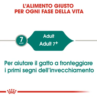 L'alimento giusto per ogni fase della vita. 7 anni, Adult, Adult 7+. Per aiutare il gatto a fronteggiare i primi segni dell'invecchiamento.