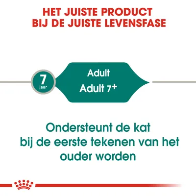Het juiste product bij de juiste levensfase. 7 jaar Adult Adult 7+. Ondersteunt de kat bij de eerste tekenen van het ouder worden.