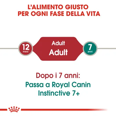 L’alimento giusto per ogni fase della vita. Adult 12 mesi–7 anni. Dopo i 7 anni: Passa a Royal Canin Instinctive 7+. Testo in italiano visibile nell’immagine.