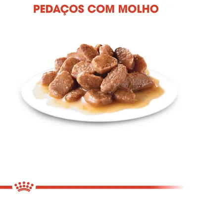 Pedaços com molho servidos num prato branco. Texto visível: 'PEDAÇOS COM MOLHO'.