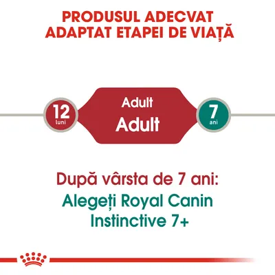 Produsul adecvat adaptat etapei de viață. Adult: 12 luni – 7 ani. După vârsta de 7 ani: Alegeți Royal Canin Instinctive 7+.