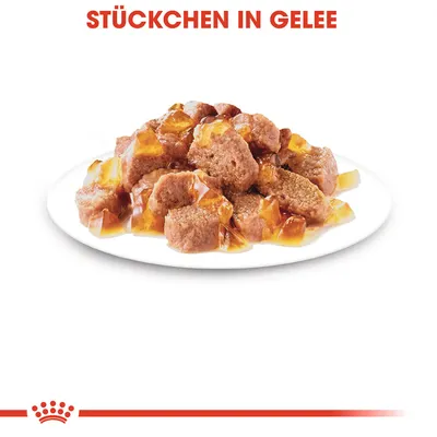 Stückchen in Gelee auf weissem Teller, Produktdarstellung mit rotem Schriftzug oben.