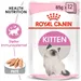 Royal Canin Kitten mousse