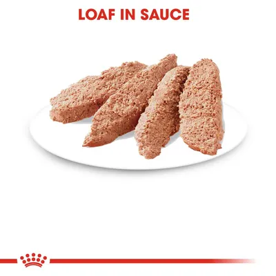 Τέσσερα κομμάτια υγρής τροφής τύπου loaf σε σάλτσα, τοποθετημένα σε λευκό πιάτο. Εμφανές κείμενο: LOAF IN SAUCE (αγγλικά).