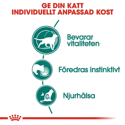 Ge din katt individuellt anpassad kost. Bevarar vitaliteten, föredras instinktivt, njurhälsa.