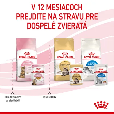 V 12 mesiacoch prejdite na stravu pre dospelé zvieratá. Royal Canin Kitten Sterilised od 6 mesiacov po sterilizácii, Royal Canin Maine Coon a Indoor od 12 mesiacov.