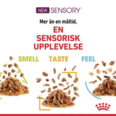 NEW SENSORY. Mer än en måltid, EN SENSORISK UPPLEVELSE. Tre högar kattmat med text: SMELL, TASTE, FEEL. Royal Canin-logotyp synlig längst ner.
