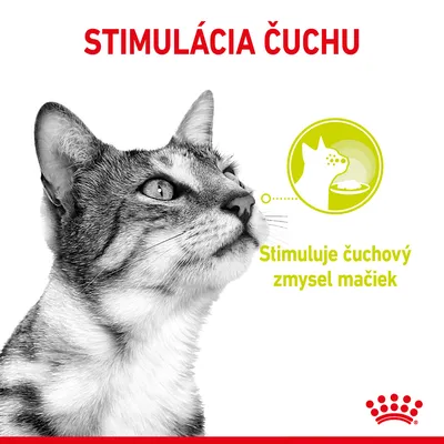 STIMULÁCIA ČUCHU. Stimuluje čuchový zmysel mačiek. Obrázok mačky a ikona s profilom mačky pri miske. Značka Royal Canin v pravom dolnom rohu.