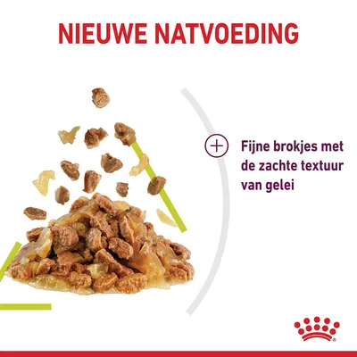 Nieuwe natvoeding, fijne brokjes met de zachte textuur van gelei. Afbeelding toont stukjes natvoer in gelei. Royal Canin merk zichtbaar rechtsonder.