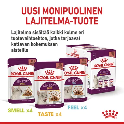 Royal Canin Sensory -lajitelmapakkaus kissoille: 12 annospussia (4 Smell, 4 Taste, 4 Feel), 85 g/pussi. Teksti: Uusi monipuolinen lajitelma-tuote, kattava kokemus aisteille.
