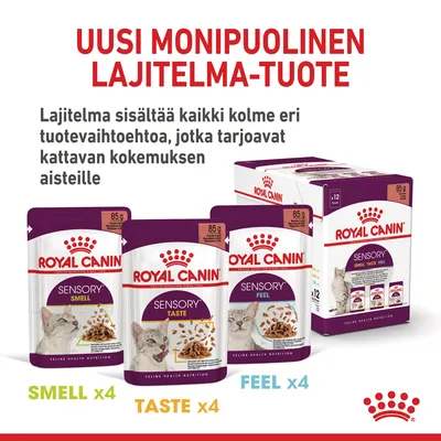 Royal Canin Sensory -lajitelma kissan märkäruokaa: 12 annospussia (3 x 4 kpl) Smell, Taste ja Feel. Teksti: Uusi monipuolinen lajitelma-tuote, sisältää kaikki kolme vaihtoehtoa.