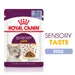 Royal Canin Sensory Taste v želé