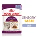 Royal Canin Sensory Taste i gelé