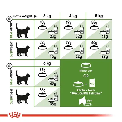 Fodringsvejledning for katte: daglig mængde tørfoder og kombination med 1 pose Royal Canin Instinctive ved idealvægt og overvægt for 3, 4, 5 og 6 kg kat. Vand anbefales.