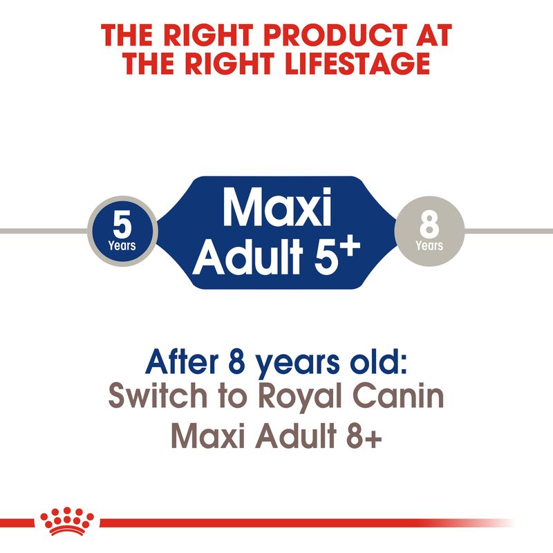 Maxi Adult 5+ для собак от 5 до 8 лет. После 8 лет: переходите на Royal Canin Maxi Adult 8+. Текст на английском языке.