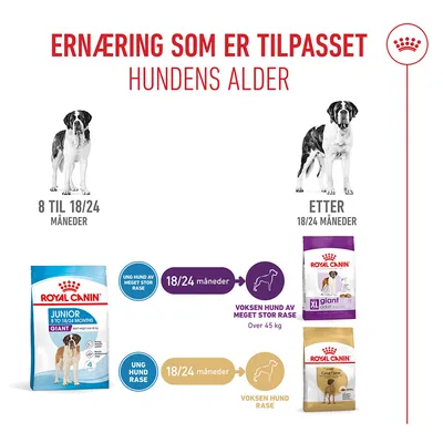 Royal Canin Giant Junior Royal Canin Giant Junior