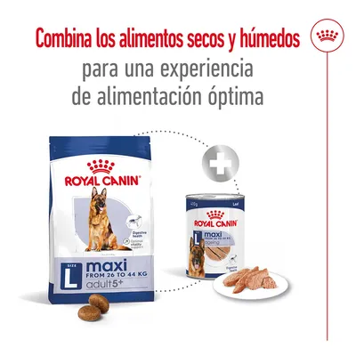 Royal Canin maxi adult 5+ seco y Royal Canin maxi ageing húmedo para perros de 26 a 44 kg. Texto: Combina los alimentos secos y húmedos para una experiencia de alimentación óptima.