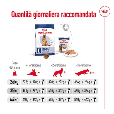Tabella Royal Canin maxi adult 5+ L: quantità giornaliera raccomandata per cani 26, 35 e 44 kg in base all’attività, con valori in grammi di crocchette o umido.