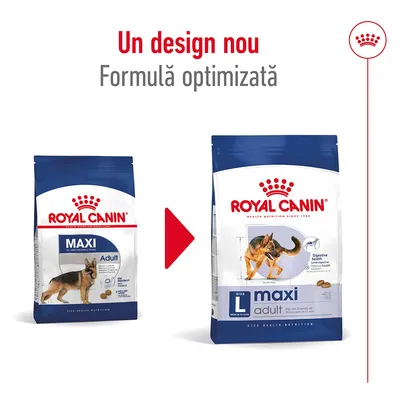 Royal Canin Maxi Adult, ambalaj vechi și nou cu text: Un design nou, Formulă optimizată. Ambalajul nou afișează Size L maxi adult, imagine câine, informații digestive vizibile.