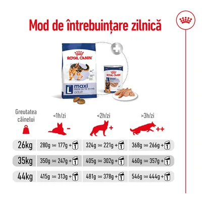 Mod de întrebuințare zilnică Royal Canin Maxi adult: tabel cu greutatea câinelui (26, 35, 44 kg), nivel activitate și cantități recomandate de hrană uscată sau umedă pe zi.