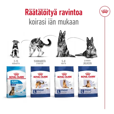 Royal Canin -koiranruokapakkaukset eri ikäisille: Puppy 2–15 kuukautta, Maxi Adult 15 kk–5 v, Maxi Adult 5+ 5–8 v, Maxi Ageing 8+ yli 8 v. Räätälöityä ravintoa iän mukaan.