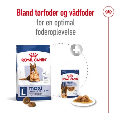 Royal Canin maxi ageing 8+ tørfoder og vådfoder til store hunde, tekst: Bland tørfoder og vådfoder for en optimal foderoplevelse. Vist pose, dåse og foder på tallerken.