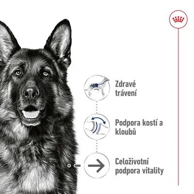 Německý ovčák, text: Zdravé trávení, Podpora kostí a kloubů, Celoživotní podpora vitality. Grafické ikony psa a kloubů.