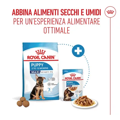 Royal Canin Maxi Puppy umido in salsa per cani