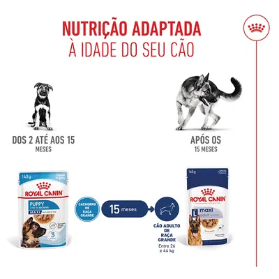 Royal Canin Maxi Puppy em molho