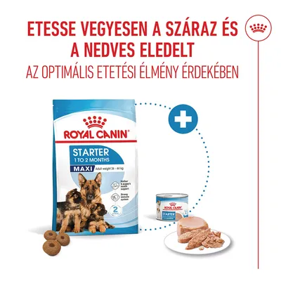 Royal Canin Maxi Starter Mother & Babydog