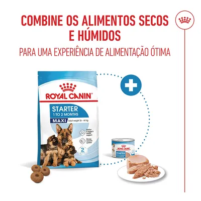 Royal Canin Maxi Starter Mother & Babydog