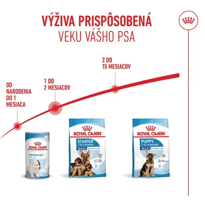 Royal Canin Maxi Starter Mother & Babydog