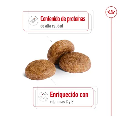 Croquetas con texto: Contenido de proteínas de alta calidad. Enriquecido con vitaminas C y E.