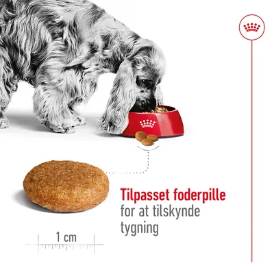 Hund spiser fra rød skål med krone-symbol. Foderpille vist i nærbillede, diameter 1 cm. Tekst: Tilpasset foderpille for at tilskynde tygning.