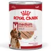 Royal Canin Medium Adult Mousse