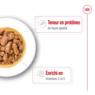 Teneur en protéines de haute qualité. Enrichi en vitamines C et E.