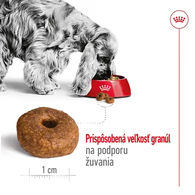 Pes pri červenej miske s granulami Royal Canin, detail granuly s priemerom 1 cm. Text: Prispôsobená veľkosť granúl na podporu žuvania.