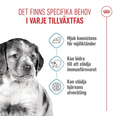 Royal Canin Medium Puppy i sås