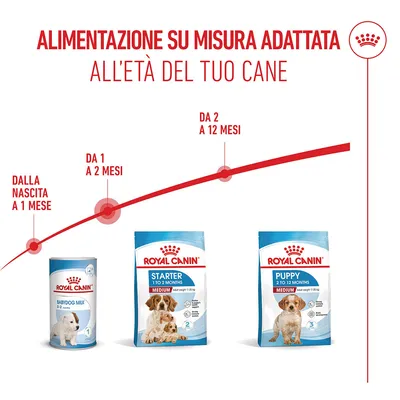 Royal Canin Medium Starter Mother & Babydog Crocchette per cane Royal Canin Medium Starter Mother & Babydog Crocchette per cane
