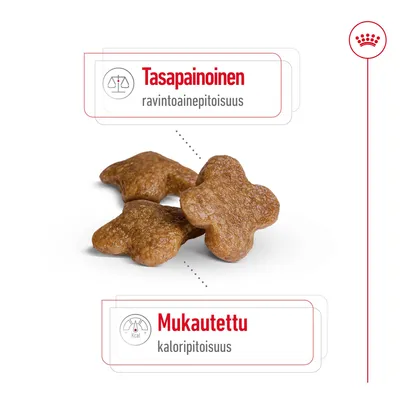 Kolme ruskeaa koiranruokanappulaa, tekstit: Tasapainoinen ravintoainepitoisuus, Mukautettu kaloripitoisuus