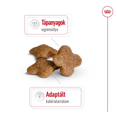Három barna, négylevelű formájú száraztáp szem, mellette feliratok: Tápanyagok egyensúlya, Adaptált kalóriatartalom.