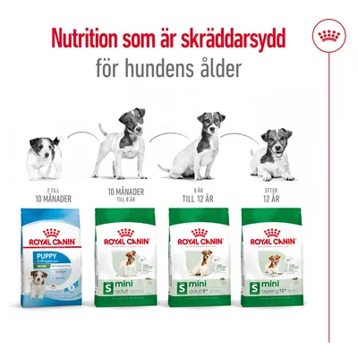 Royal Canin torrfoder för små hundar: Puppy 2–10 månader, Mini Adult 10 månader–8 år, Mini Adult 8+ 8–12 år, Mini Ageing 12+ efter 12 år. Text: Nutrition som är skräddarsydd för hundens ålder.