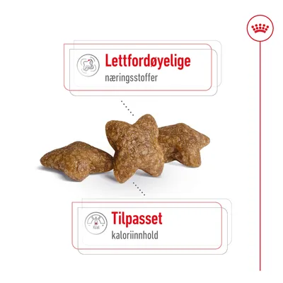 Royal Canin Mini Adult