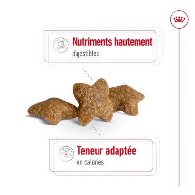 Croquettes en forme d’étoile avec texte : Nutriments hautement digestibles, Teneur adaptée en calories. Texte en fr_BE visible sur l’image.