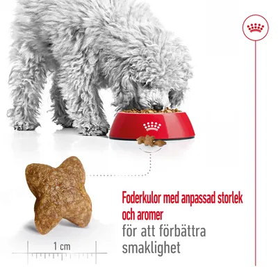 Hund äter ur röd matskål med Royal Canin-symbol. Foderkula visas i närbild, cirka 1 cm stor. Text: Foderkulor med anpassad storlek och aromer för att förbättra smaklighet.
