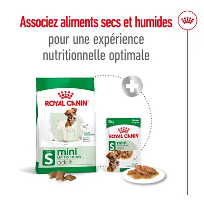 Associez aliments secs et humides pour une expérience nutritionnelle optimale. ROYAL CANIN mini adult jusqu’à 10 kg, croquettes et sachet 85 g visibles.