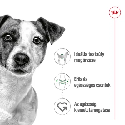 Ideális testsúly megőrzése, erős és egészséges csontok, az egészség kiemelt támogatása – három ikon kutyával, csonttal és szívvel, Royal Canin korona embléma jobbra fent.
