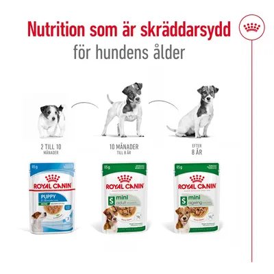 Royal Canin våtfoder för små hundar: Puppy 2 till 10 månader, Mini Adult 10 månader till 8 år, Mini Ageing efter 8 år. Text: Nutrition som är skräddarsydd för hundens ålder.